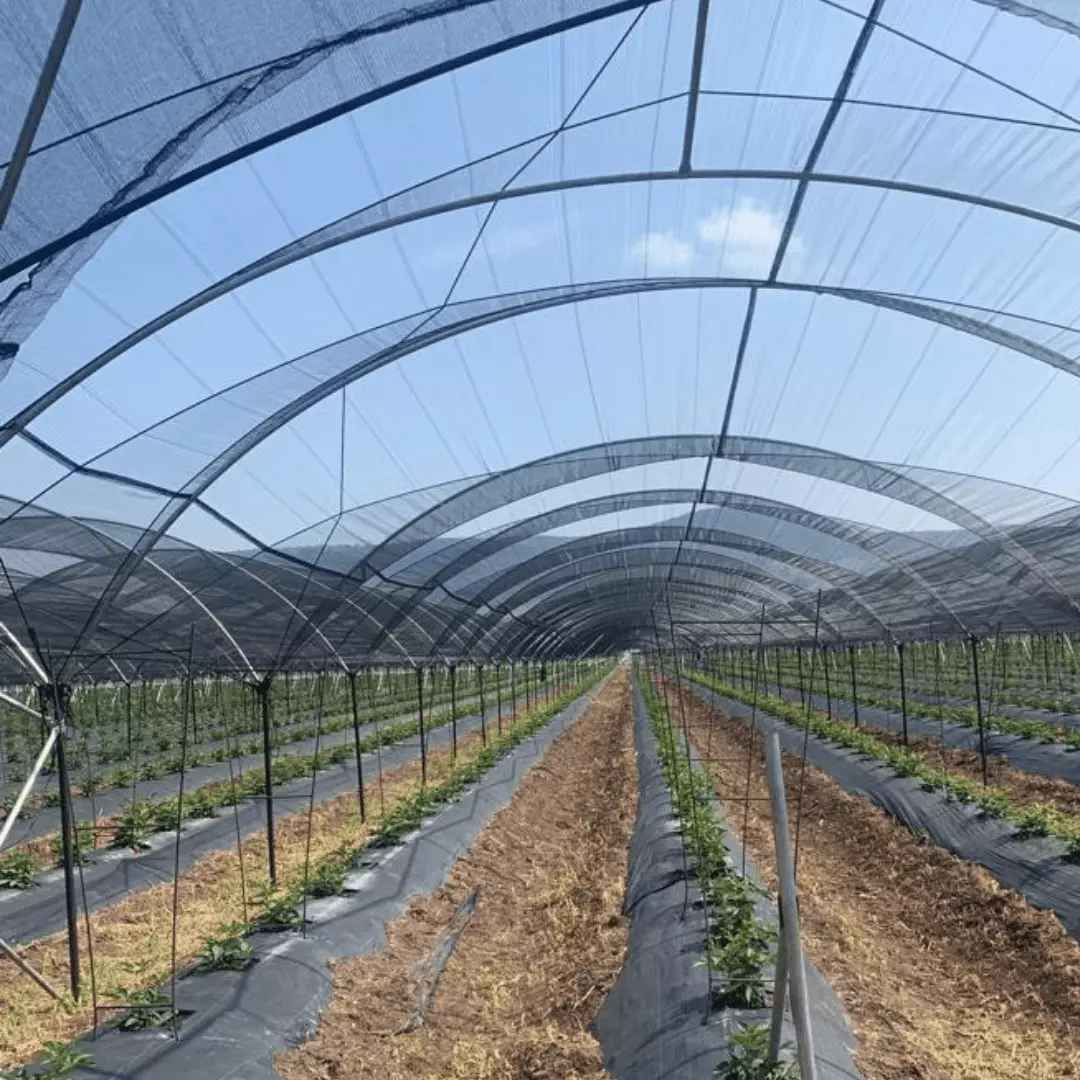 Plásticos Industriales