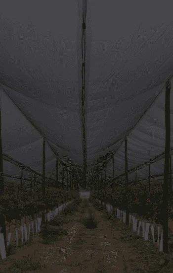 Plásticos Industriales